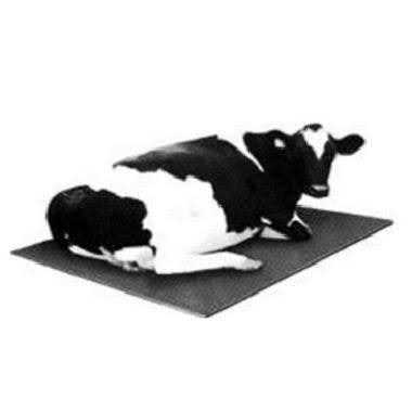 Cow Rubber Mat Manufacturer in India